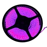 FAVOLCANO LED Strip Light, Pink, IP65 Waterproof, 12V DC, SMD 3528, 300 LEDs, 60Leds/M, 16.4 ft/5M LED Tape for Halloween, Thanksgiving, Christmas, Home, Business, Indoor, Outdoor Decoration.