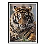 Leepakyuan DIY 5D Diamond Painting by Number Kits, Full Drill Crystal Rhinestone Embroidery Pictures Arts Craft for Home Wall Decor Gift, Aggressive Tiger, 12inch×16inch