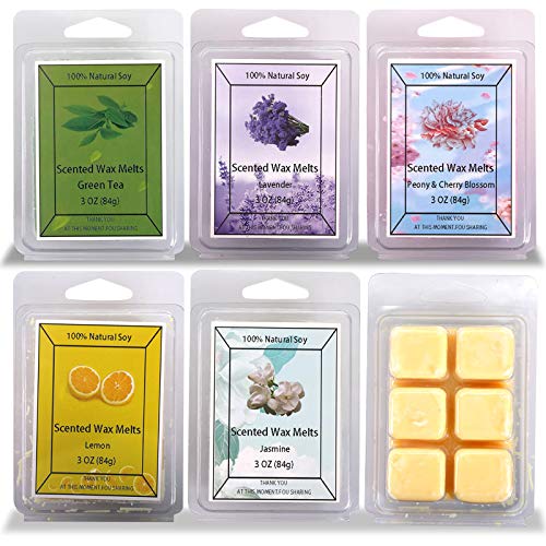 Onlyhome Scented Soy Wax Melts -Set of 6 (3 oz) Assorted Wax Warmer Cubes/Tarts