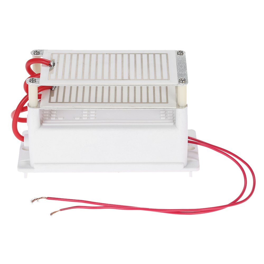 Anself ACV g Generador de Ozono Portátil Doble Integrado Placa de Cerámica