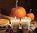 EarthGlo Winter Candles - Scented Soy Candle Set In Gift Box - Fall Spice And Cranberry Harvest - Perfect Holiday Scents With Pumpkin And Cinnamon - Perfect Soy Candles For Fall And Christmas