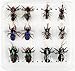 Fly Fishing Flies kit with Fly Box Realistic Flies