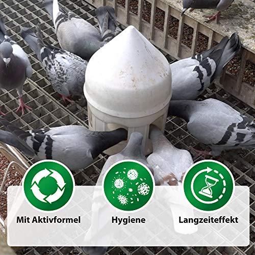 Röhnfried Avidress Plus 1000 ml | Senkt das Infektionsrisiko im Trinkwasser für Tauben & Kaninchen | Enthält Mineralien, Oregano & Zimt – Bild 3