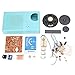 Ologymart am Radio DIY Do It Yourself Electronic Kit Learning Suite