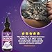 Jackson Galaxy: Scaredy Cat (2 oz.) - Pet Solution - Promotes Sense of Self-Confidence and Reassurance - Perfect for Cats Who Hide and Run from Touch - All-Natural Formula - Reiki Energy