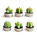 COCOMOON Cactus Tea Light Candles, 6 Pcs Decorative Candles with Artificial Succulents, Unscented, 30 min Burn Time, Modern Design, Perfect for Home Decor, Party, Wedding