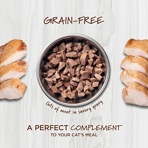 INSTINCT, HEALTHY CRAVINGS GRAIN-FREE REAL RABBIT RECIPE WET CAT FOOD TOPPER POUCH, 3 OUNCE