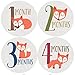 Fox Monthly Baby Stickers, Woodland, Baby Gift, Milestone Stickers, Baby Boy