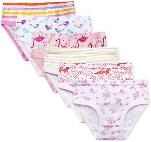 2T-8T Girls Kids Series Panty Soft Cotton Briefs 6 Pack Toddler Girl's Underwear