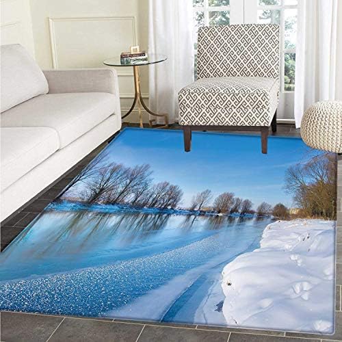 Winter Customize Floor mats for home Mat Snow Covered Frozen Winter with Clear Open Sky Photography Seasonal Image Print Oriental Floor and Carpets 3'x5'
