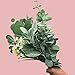 Aisamco 6 Pcs Artificial Flocked Lambs Ear Leaf Spray Rabbit Ear Leaf in Silver Green Fake Plants Artificial Greenery Wedding Bouquet Artificial Plants Green Leaf Floral Arrangement
