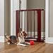 Primetime Petz Auto Close Pet Gate