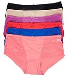 Barbra's 6 Pack Women's Floral Embroidered Side Silky Plus Size Hipster Panties
