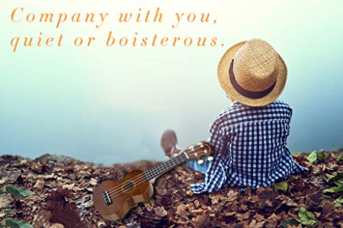 2 POMAIKAI+Ukulele+Ukuleles+Beginner+Bright+Brown