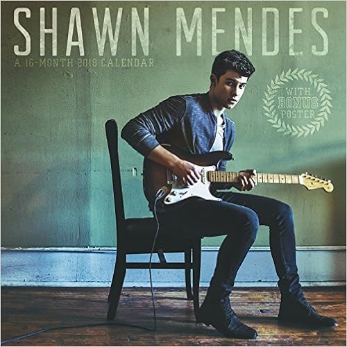 2018 Shawn Mendes Wall Calendar (Day Dream) 2018 Shawn Mendes Wall Calendar (Day Dream)
