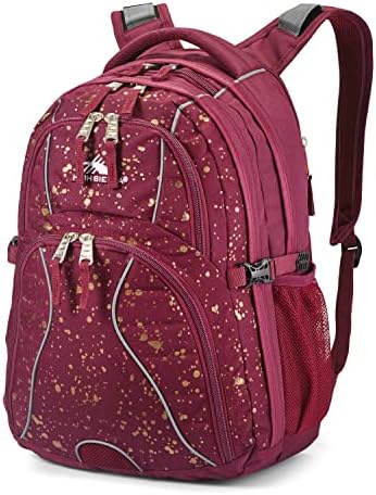 Amazon.com | High Sierra Loop Backpack, Travel, or Work 