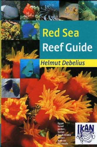 Coral Reef Guide Red Sea: The complete Red Sea marine life guide