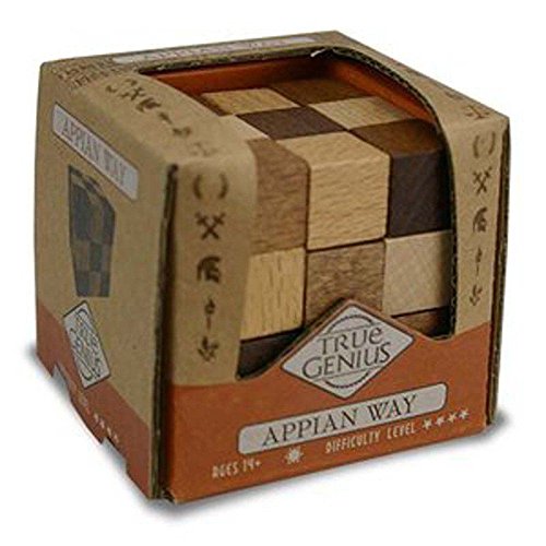 Project Genius True Genius Puzzle Collection Wooden Assembly Puzzles - Appian Way, Wooden