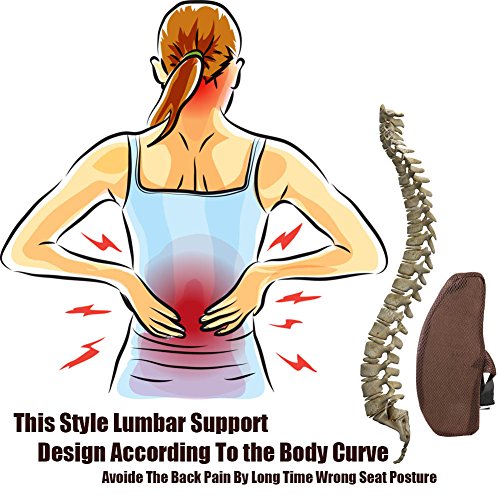 Memory Foam Back Pillow For Office Chair Sofa Desk Recliner Wheelchair,Auto Car Seat Driving Lower Back Support Rest Lumbar Cushion ,Portable And Comfortable Coffee Color 2 Count - Thumbnail 2