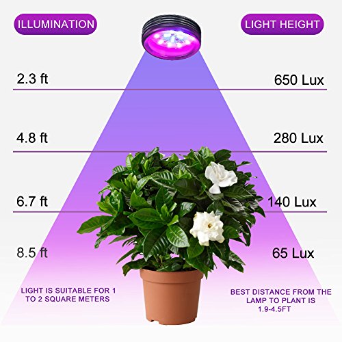 LED Growth Light, INKERSCOOP Horticultural Plant Lighting with Timer Remote Control(3H/6H/12H), Dual Head 12W LED & 5 Modes Brightess Lamp for Indoor Plants Greenhouse Office