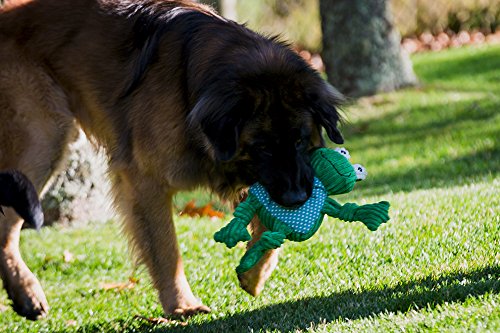 HuggleHounds Plush Corduroy Durable Knotties Frog Knottie, Large, Green