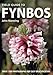 Field Guide to Fynbos