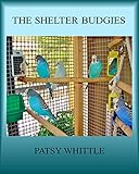 The Shelter Budgies by Patsy Whittle