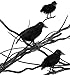 Cornucopia Brands 4in Black Crows (6-Pack); Imitation Artificial Birds/Ravens for Halloween Decorations, Haunted House & Fall Seasonal Displays