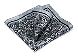 HISDERN Men's Paisley Pocket Square Handkerchief