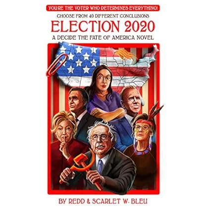 Election 2020: A Decide the Fate of America Novel