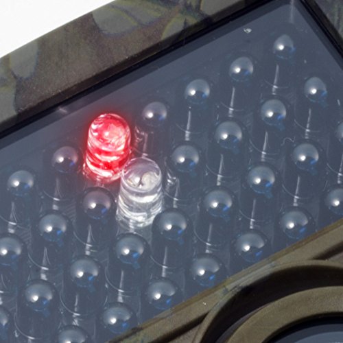 Technaxx Wildkamera mit bewegungsmelder nachtsicht - PIR-Sensor, IR LEDs für Nachtaufnahmen, Full HD Video-, Foto-, TFT Display - Testsieger Nature Wild Cam – Bild 7