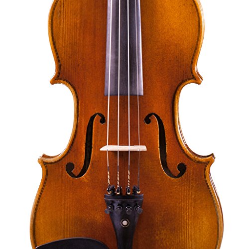 Fiddlerman Artist Violin 4/4 Outfit with Case, Bow, Rosin, Shoulder Rest