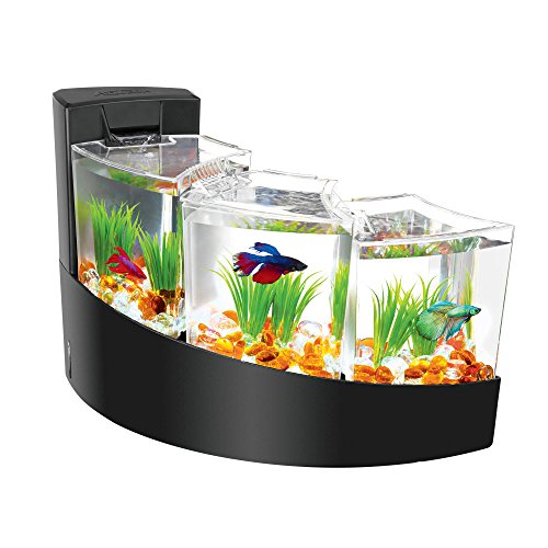 2 Aqueon+Betta+Falls+Kit+Black
