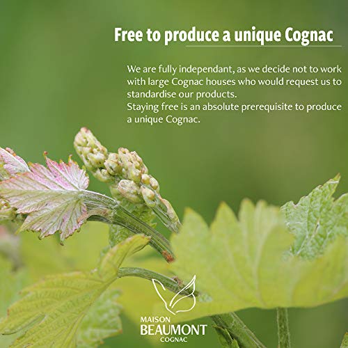 Cognac Maison Beaumont VS – Handgefertigtes Produkt – 5 Jahre in Eichenfässern gelagert – Bild 7