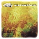 311 Album: «Grassroots (Clean)» (Front side) 311 Album: «Grassroots (Clean)» (Front side)
