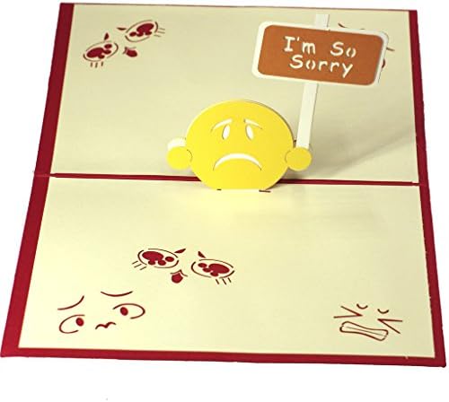 YUNLOY Folded Pop Up 3D Greeting Cards Handmade Valentines Day Creative Post Card - I'm So Sorry
