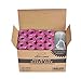 EXPAWLORER Pink Dog Poop Bags Degradable Leak-Proof Pet Waste Bag includes Dispenser 24 Rolls / 480 Count