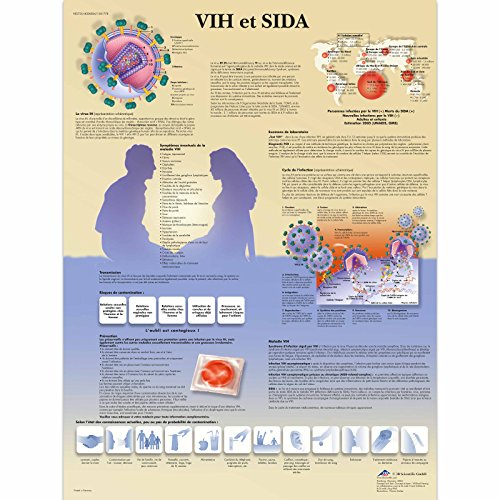 3B Scientific VR2725L HIV et SIDA Anatomical Board