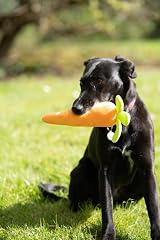 Petface Foodie Faces Fluffy Carrot Dog Toy with Squeaker view 3