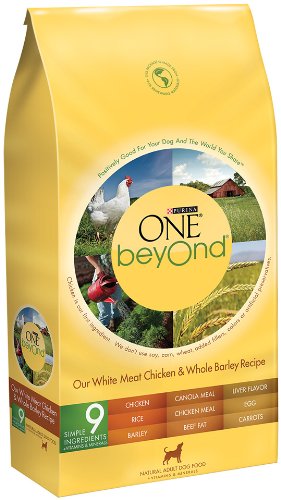 Beyond Dog Food, Chicken and Barley, 14 lb - Image 2