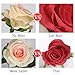 Luyue 10PCS Artificial Roses Flower Silk Rose with Stem Realistic Artificial Long Stem Rose Valentine's Day Fake Roses Bouquet for Wedding Home Decoration