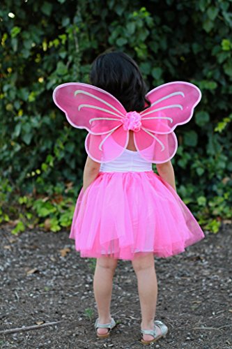 Party Favor Butterfly Wing (Set of 6) Color: Hot Pink
