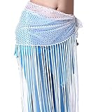 ZLTdream Women's Belly Dance Hip Scarf Highlights cloth With Long Tassels