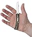 Case XX WR Pocket Knife Sod Buster Jr, Stainless Steel Blades, Length Closed: 3 5/8 Inches, Made in USA