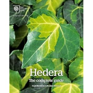 Hedera: The Complete Guide