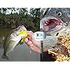 JSHANMEI-Soft-Fishing-Lure-Set-Lead-Jig-Head-Hook-Grub-Worm-Soft-Fishing-Lures-Soft-Baits-Shads-Plastic-Fish-Lure-Set-Tackle-Pesca JSHANMEI-Soft-Fishing-Lure-Set-Lead-Jig-Head-Hook-Grub-Worm-Soft-Fishing-Lures-Soft-Baits-Shads-Plastic-Fish-Lure-Set-Tackle-Pesca