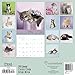 2018 Rachael Hale Cats Wall Calendar (Mead)