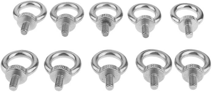 QWXX Suministros de envío 10pcs M10 Perno de Ojo 316 Sombra de Acero