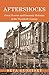 Aftershocks: Great Powers and Domestic Reforms in the Twentieth Century (Princeton Studies in International History and Politics)