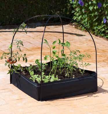 Catral 75050001 - Cajonera-invernadero, 100 x 76 x 76 cm ...